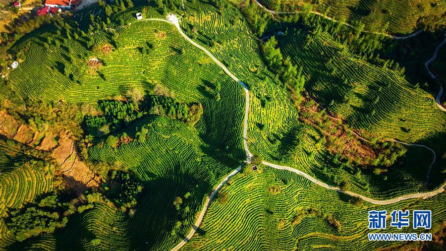 (兩會前夕看落實·圖文互動)(5)奮力脫貧攻堅 生態追“清”逐“綠”——江西落實習近平總書記全國兩會重要講話精神紀實