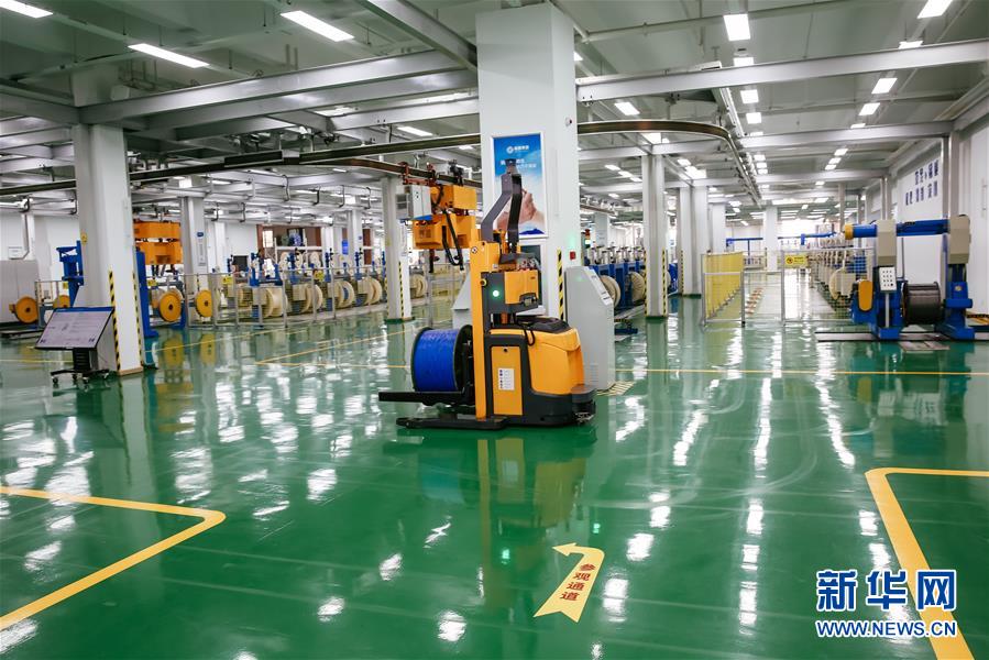 (新華全媒頭條·圖文互動)(7)沖寒先已笑東風——新春浙江民營企業走訪實錄