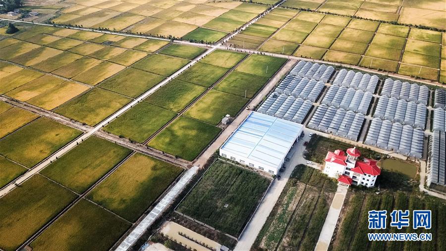 (新華全媒頭條·愛國情 奮斗者·圖文互動)(8)一個村的奮斗,一個時代的巨變——記敢“蹚新路”的小崗人