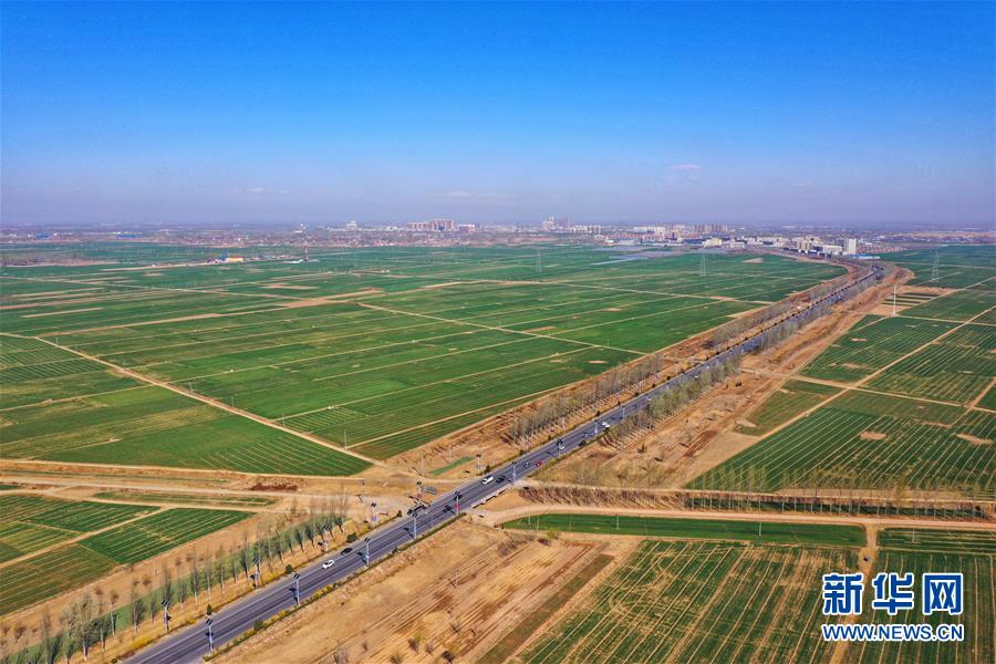 (新華全媒頭條·圖文互動)(2)奮進(jìn),向著未來之城!——河北雄安新區(qū)建設(shè)發(fā)展兩周年紀(jì)實(shí)