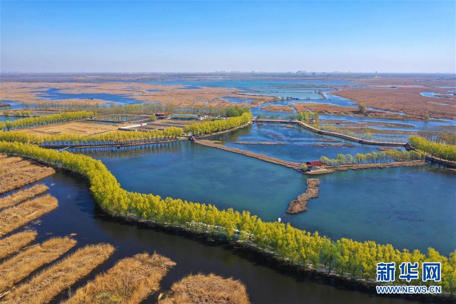 (新華全媒頭條·圖文互動)(5)奮進(jìn),向著未來之城!——河北雄安新區(qū)建設(shè)發(fā)展兩周年紀(jì)實(shí)