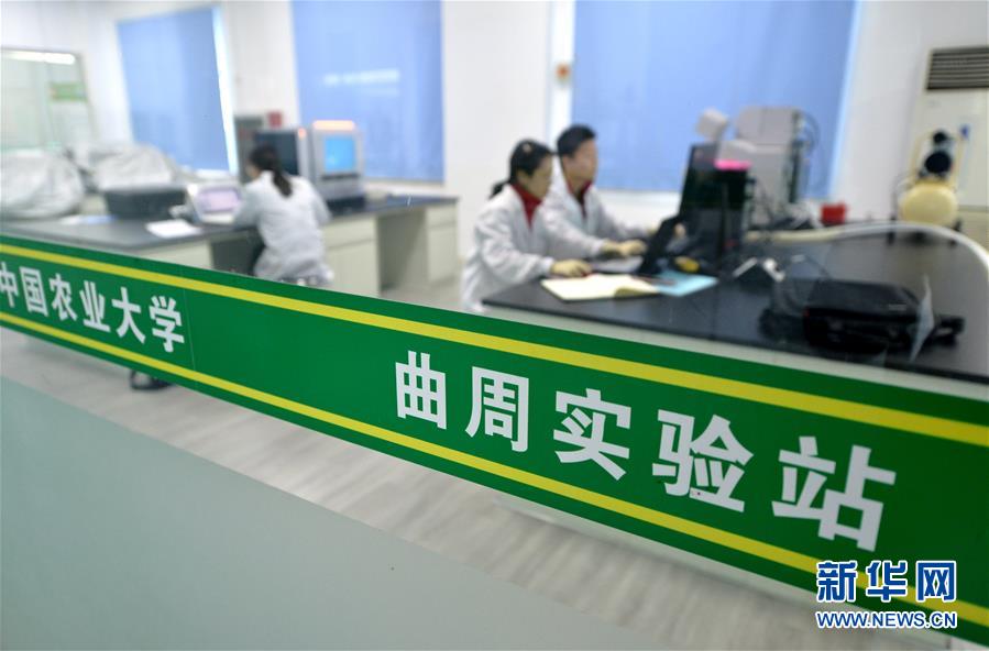 （愛國情 奮斗者·圖文互動）（3） “解民生之多艱，育天下之英才”——中國農大師生扎根田野書寫奉獻之歌