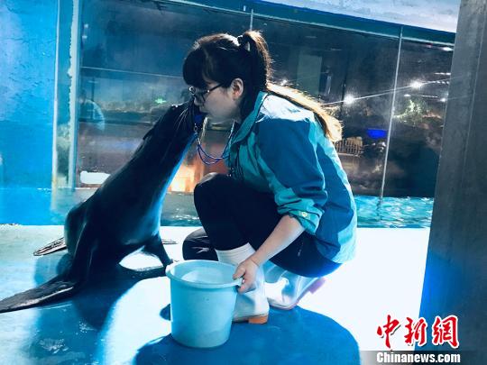 于雅麗與海獅親密瞬間。 艾慶龍 攝 于雅麗與海獅親密瞬間。 艾慶龍 攝