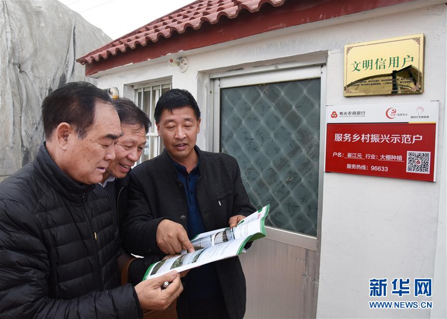 (壯麗70年·奮斗新時(shí)代·圖文互動(dòng))(6)山東壽光:一棵“菜”興一座城