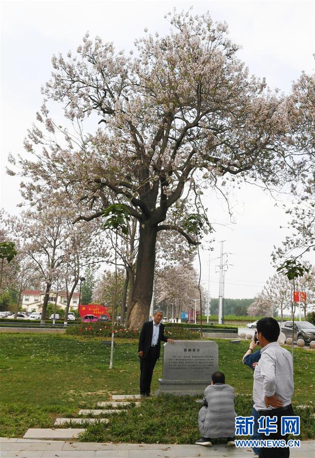 (壯麗70年·奮斗新時代·圖文互動)(6)以改革創新實現縣域新治——河南蘭考縣域治理樣本觀察