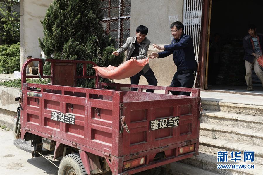 (在習近平新時代中國特色社會主義思想指引下——新時代新作為新篇章·圖文互動)(2)云南省陸良縣:農民給供銷社打“白條”