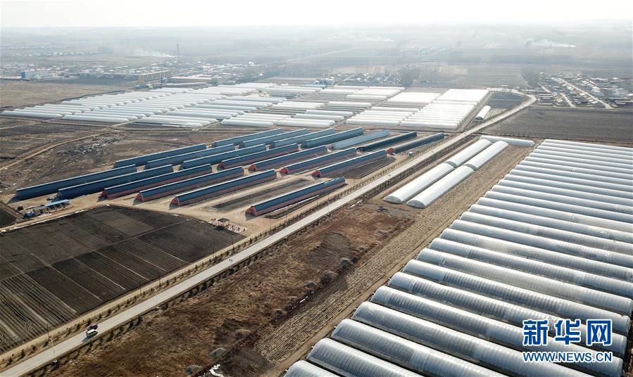 (在習近平新時代中國特色社會主義思想指引下——新時代新作為新篇章·圖文互動)(3)“無人作業”來臨 綠色食品“當家”——黑龍江探索現代農業發展路徑