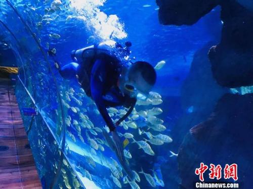 蘭州極地海洋世界工作人員杜成功擦拭櫥窗。艾慶龍 攝 點(diǎn)擊進(jìn)入下一頁