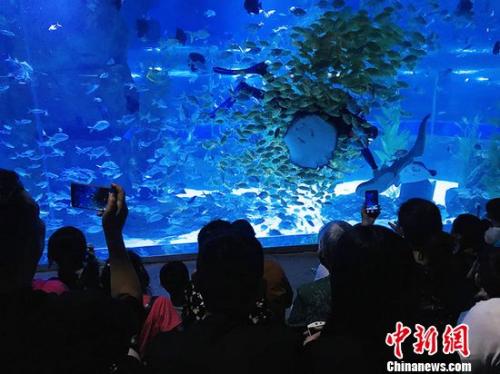 蘭州民眾觀看投食表演。艾慶龍 攝 點(diǎn)擊進(jìn)入下一頁