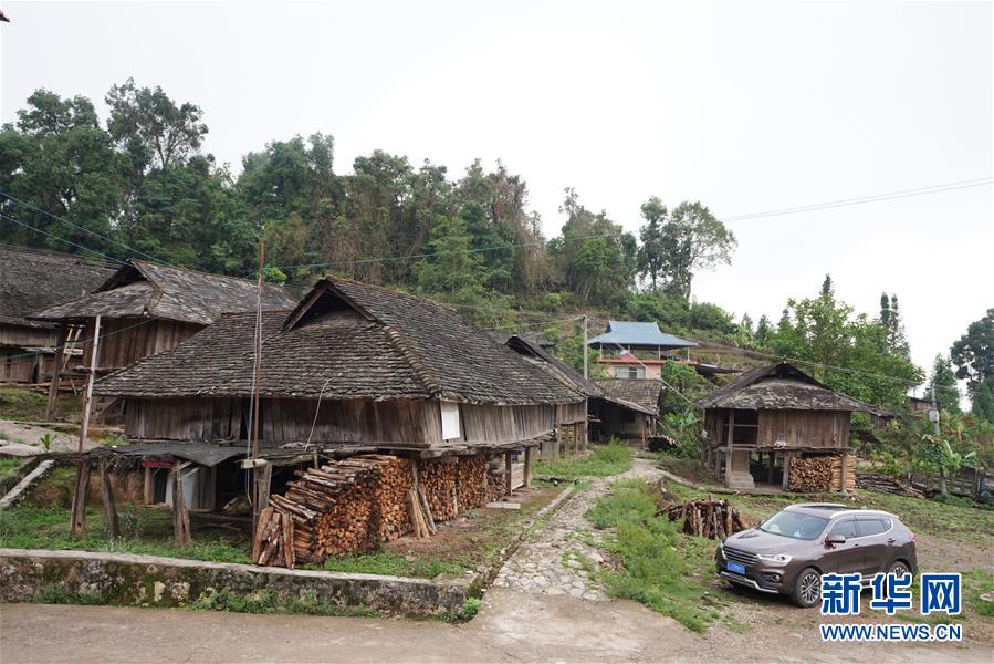 (直過(guò)民族脫貧攻堅(jiān)·圖文互動(dòng))(6)“人類童年·西盟佤部落”成長(zhǎng)記