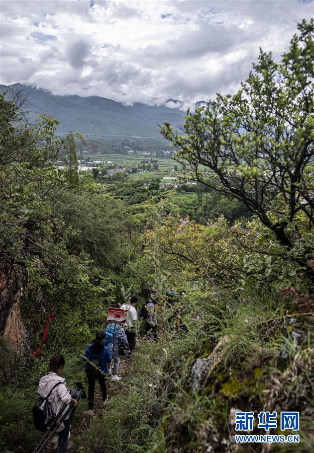 (壯麗70年·奮斗新時代——記者再走長征路·圖文互動)(2)麗江古城的紅色記憶