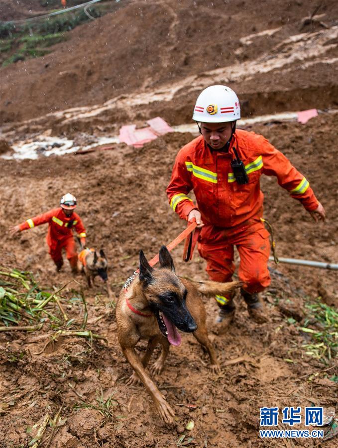 (新華全媒頭條·圖文互動)(4)有一絲希望,就盡百倍努力——貴州水城“7·23”特大山體滑坡72小時救援紀實
