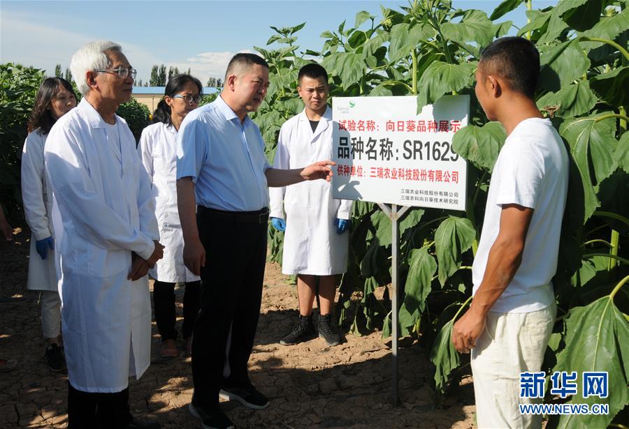 (愛國(guó)情 奮斗者·圖片互動(dòng))(3)張永平:像打造“中國(guó)芯”一樣打造“中國(guó)葵”