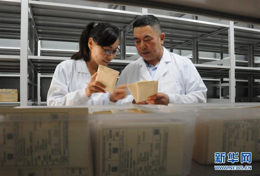 (愛國(guó)情 奮斗者·圖片互動(dòng))(2)張永平:像打造“中國(guó)芯”一樣打造“中國(guó)葵”