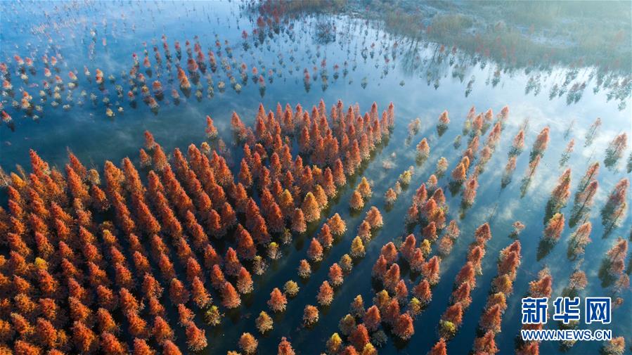 (壯麗70年·奮斗新時代——共和國發展成就巡禮)(4)云嶺彩卷繪 高原氣象新——新中國成立70年云南發展巡禮