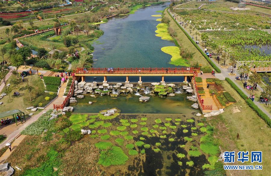 (壯麗70年 奮斗新時(shí)代——推動(dòng)高質(zhì)量發(fā)展調(diào)研行·圖文互動(dòng))(4)亮出一江清水優(yōu)質(zhì)“成績單”——廣西重點(diǎn)流域水環(huán)境綜合治理觀察