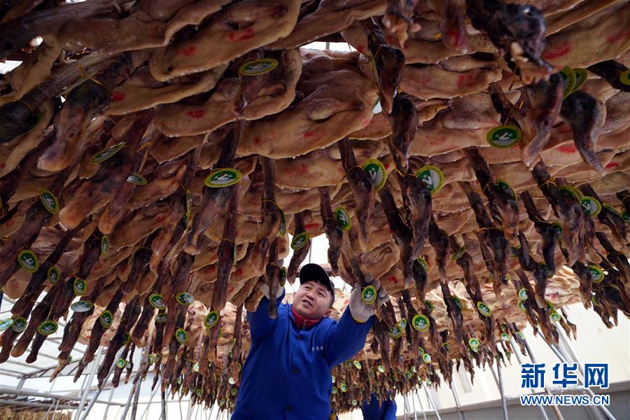（壯麗70年·奮斗新時代——共和國發展成就巡禮·圖文互動）（3）人民至上的生動實踐——共和國民生發展成就巡禮