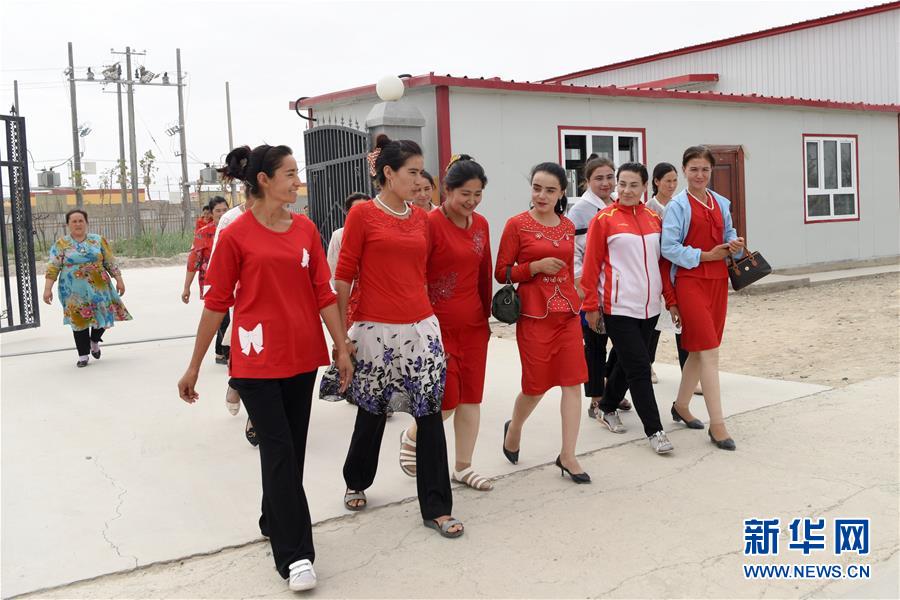(決戰決勝脫貧攻堅·圖文互動)(5)“她力量”托起南疆脫貧攻堅“新引擎”