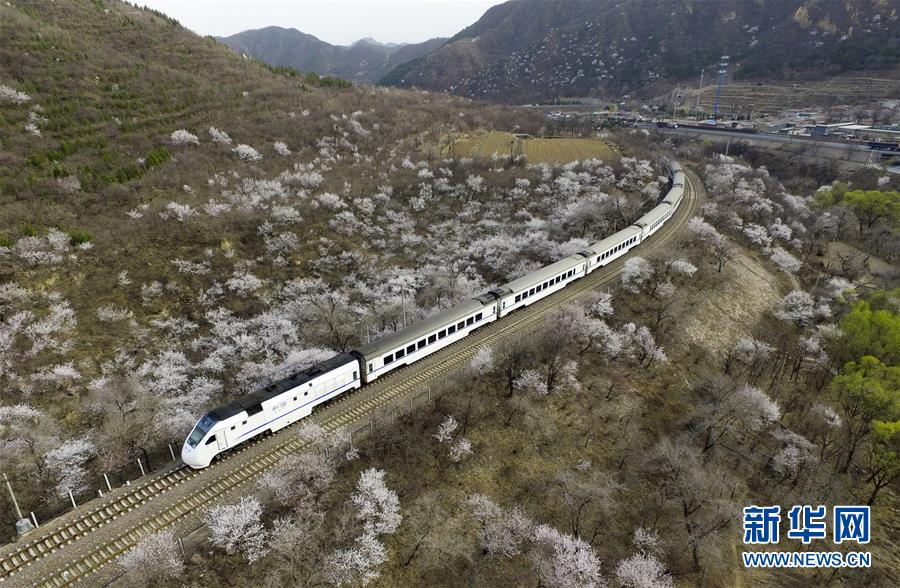 (壯麗70年·奮斗新時代——共和國發展成就巡禮)(12)人暢其行、貨暢其流——共和國交通運輸業發展成就巡禮