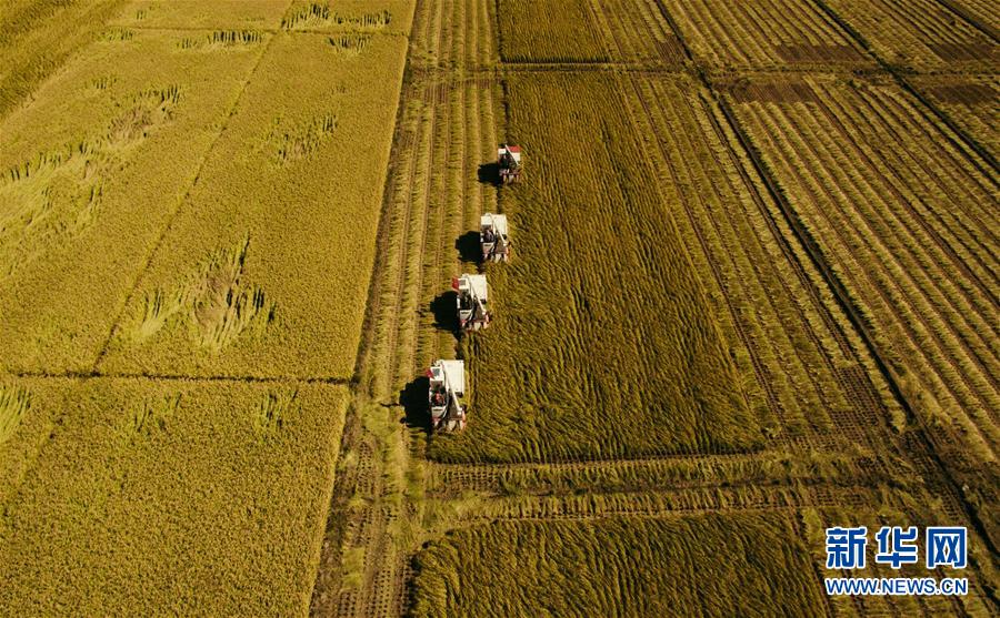 (新華全媒頭條·圖文互動(dòng))(5)紅色的傳承,藍(lán)圖的起點(diǎn)——新中國(guó)孕育與發(fā)展的“東北記憶”