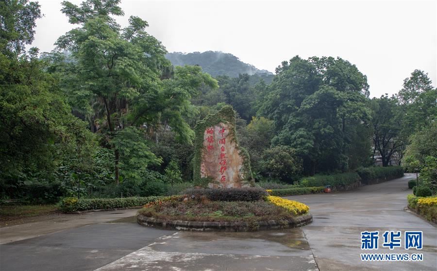 (圖文互動)(1)科學接續保護 守住生態紅線——探訪“北回歸沙漠帶上的綠色明珠”