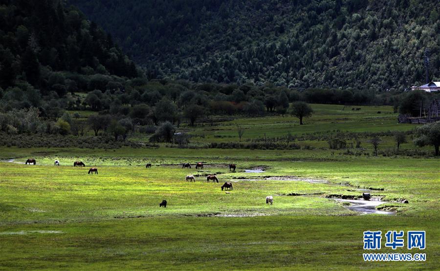(新華全媒頭條·決戰(zhàn)決勝脫貧攻堅·圖文互動)(7)為了人與自然和諧共生——云南“三江并流”地區(qū)決戰(zhàn)精準脫貧的“生態(tài)畫卷”