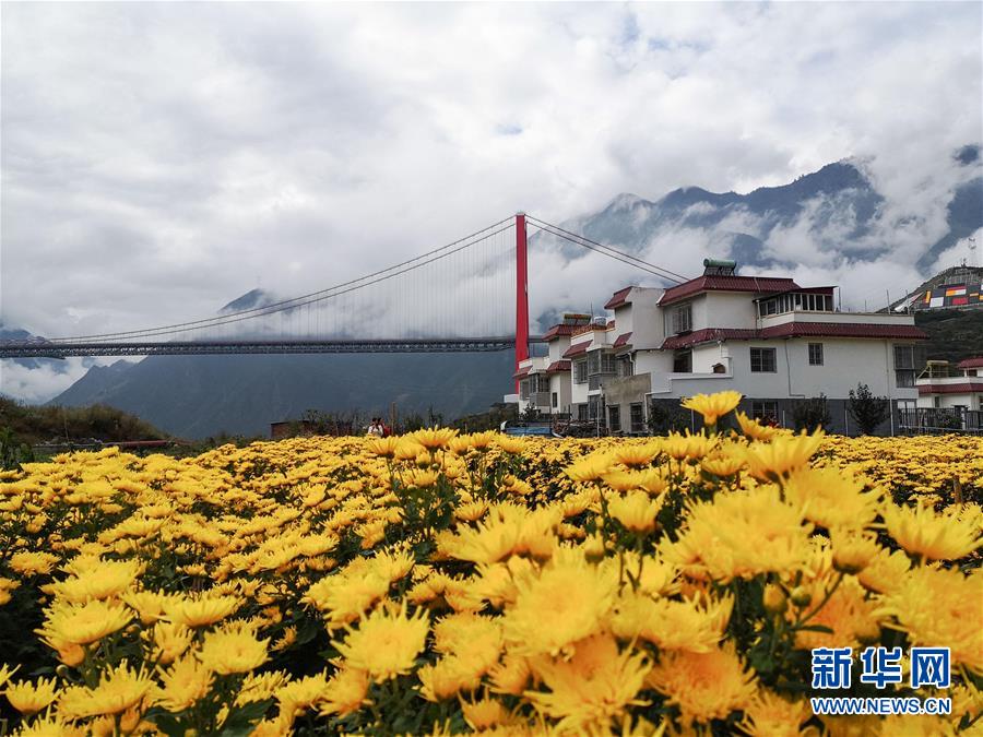 (圖文互動)(9)大渡橋橫天路“短”