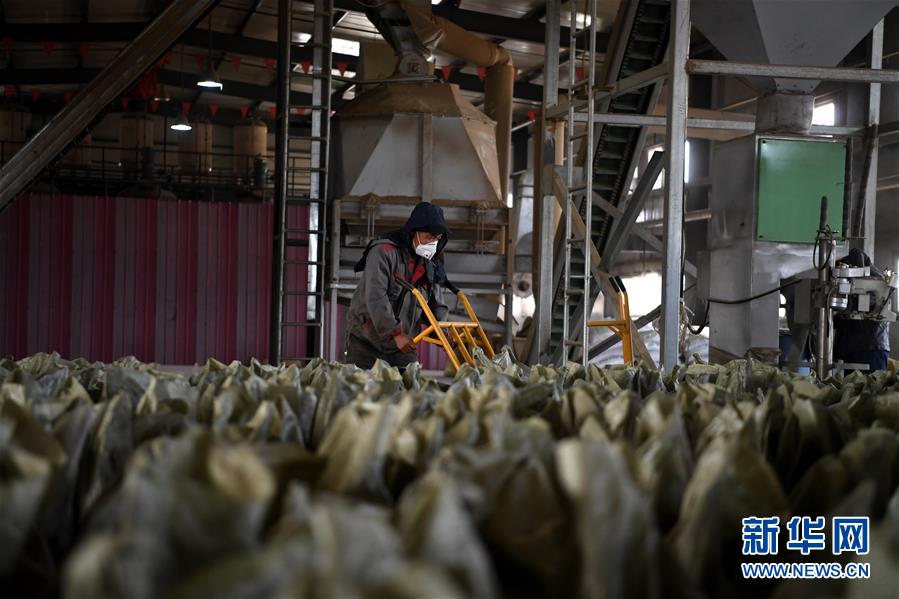 （新華全媒頭條·圖文互動）（7）為美麗中國增添綠色動力——2019年太原能源低碳發展論壇釋放綠色發展新信號