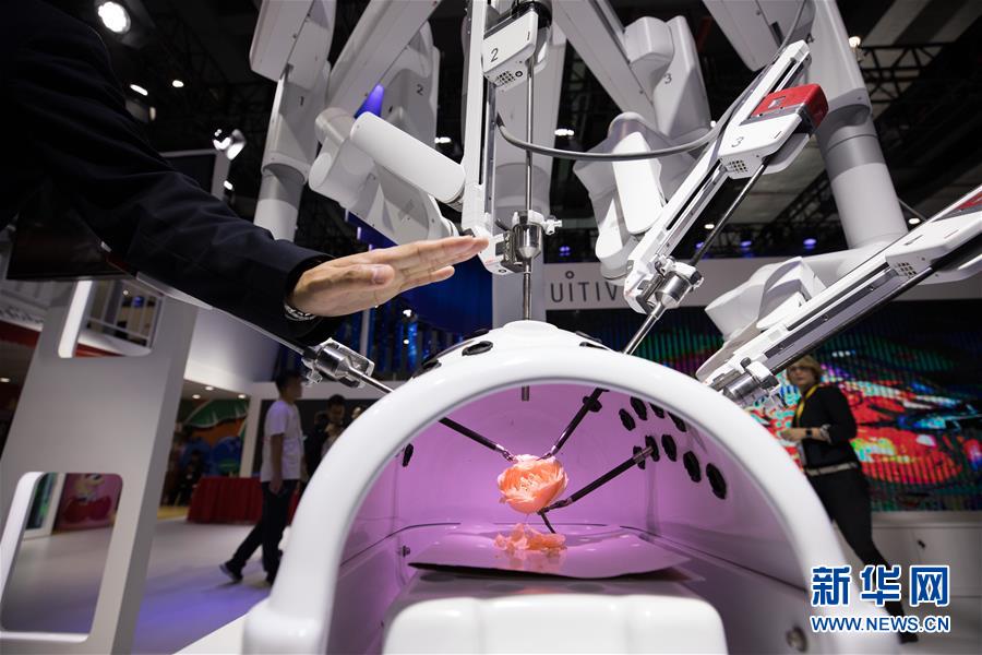 (新華全媒頭條·圖文互動)(14)秋天里的樂章——第二屆中國國際進口博覽會巡禮