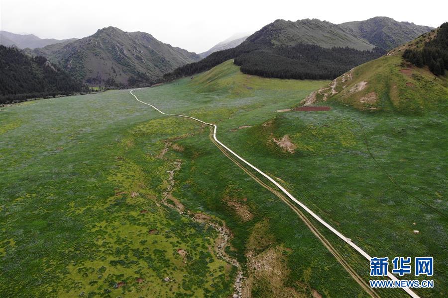 (新華全媒頭條·圖文互動(dòng))(10)綠色的啟示——西部地區(qū)生態(tài)問題典型個(gè)案再調(diào)查