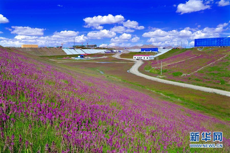 (新華全媒頭條·圖文互動(dòng))(7)綠色的啟示——西部地區(qū)生態(tài)問題典型個(gè)案再調(diào)查