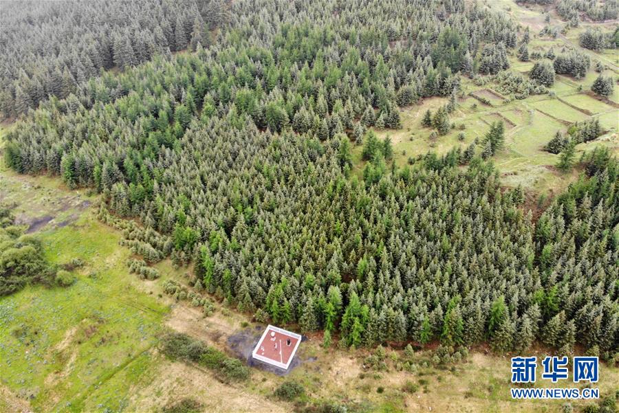 (新華全媒頭條·圖文互動(dòng))(11)綠色的啟示——西部地區(qū)生態(tài)問題典型個(gè)案再調(diào)查