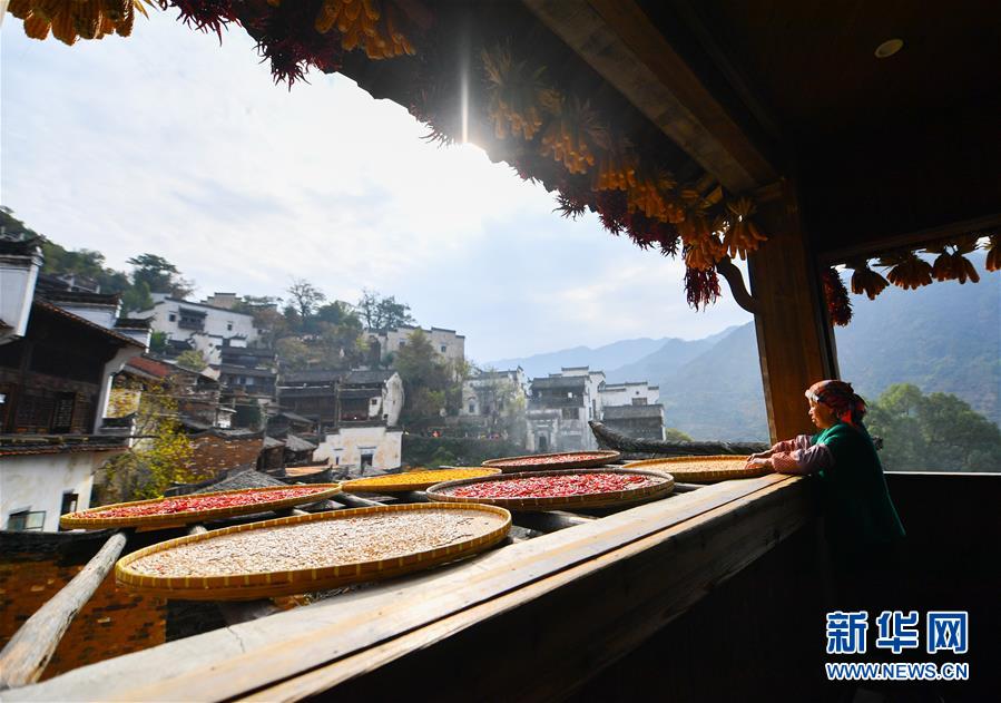 (圖文互動)(5)鄉(xiāng)村攝影師、鄉(xiāng)村“模特”、民宿店主——鄉(xiāng)村旅游推動婺源農(nóng)民生活方式發(fā)生新變化