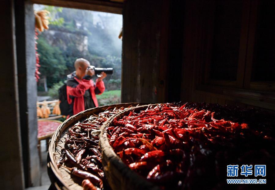 (圖文互動)(6)鄉(xiāng)村攝影師、鄉(xiāng)村“模特”、民宿店主——鄉(xiāng)村旅游推動婺源農(nóng)民生活方式發(fā)生新變化