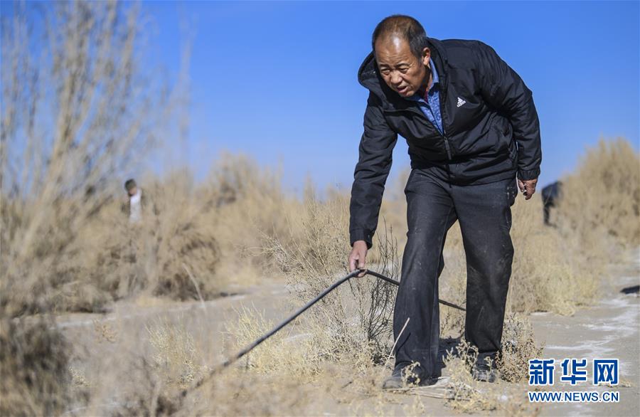 （新華全媒頭條·圖文互動）（2）大漠小城的絕地反擊