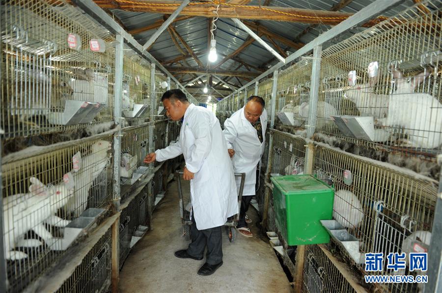 （新華全媒頭條·圖文互動）（4）干部去哪兒了？——貴州干部大規模下沉脫貧攻堅一線紀實