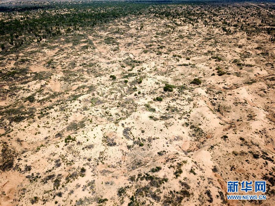 （圖文互動）（2）陜西榆林毀林建光伏電站追蹤：還有哪些疑團有待破解？ 