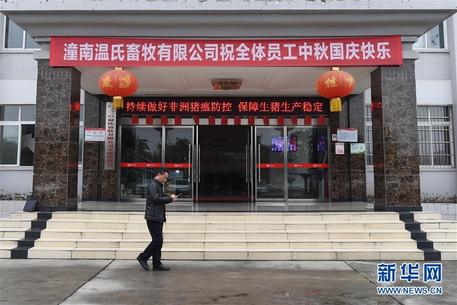 (在習近平新時代中國特色社會主義思想指引下——新時代新作為新篇章·總書記關切高質(zhì)量發(fā)展·圖文互動)(1)穩(wěn)住“一頭豬”、供好“一袋米”、配好“一籃菜