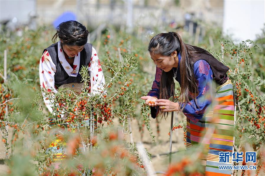 （新華全媒頭條·兩會特別報道·圖文互動）（7）在推進高質量發展中創造廣闊空間——從全國兩會看奮進中國的發展機遇