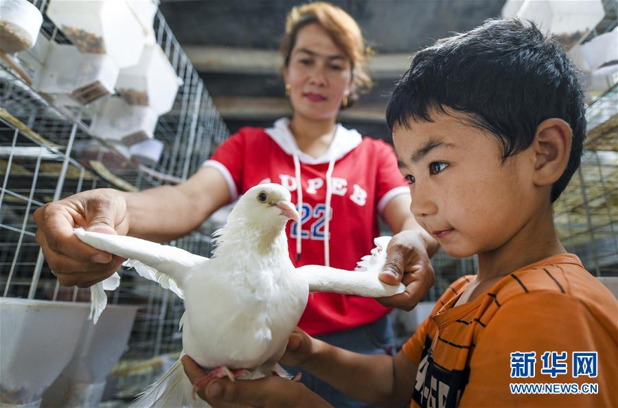 (新華全媒頭條·聚焦中國經濟成績單·圖文互動)(10)為全面建成小康社會奠定堅實基礎——從2019年數據看中國經濟發(fā)展大勢