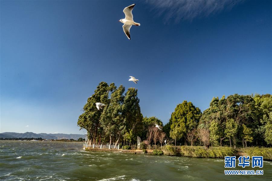 (圖文互動)(7)跨越發展起宏圖 信心滿懷著華章——習近平總書記考察云南回訪記