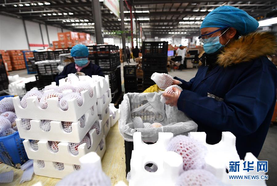 （聚焦疫情防控·圖文互動）（1）“一輛輛車出發(fā)，春暖花開的日子就不遠了”——西北電商大縣陜西省武功縣復工見聞