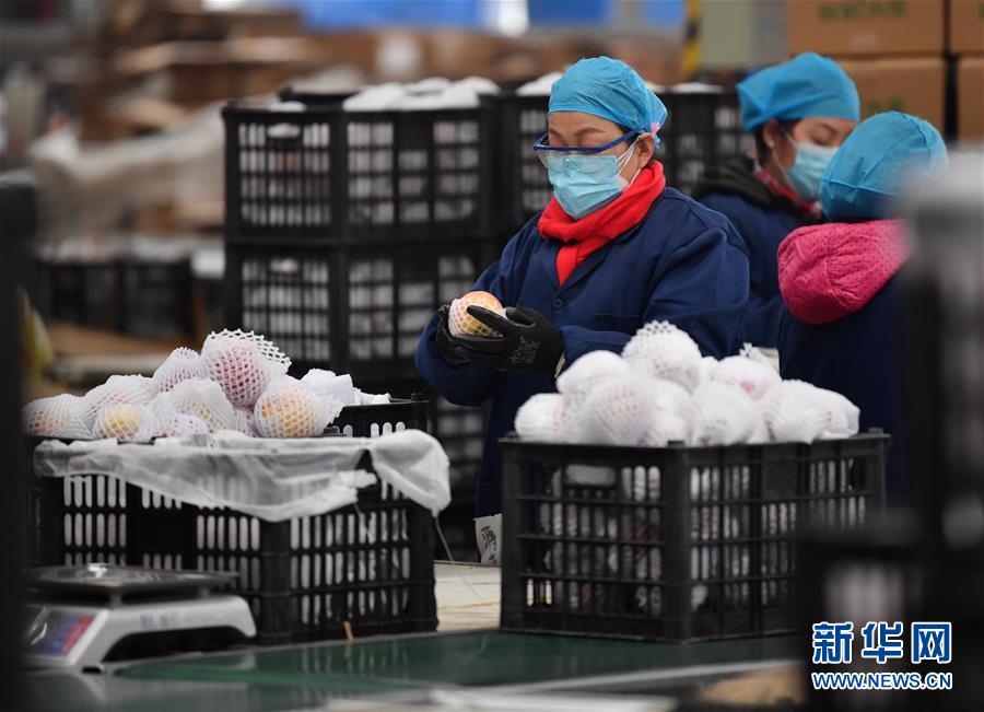 （聚焦疫情防控·圖文互動）（4）“一輛輛車出發(fā)，春暖花開的日子就不遠了”——西北電商大縣陜西省武功縣復工見聞