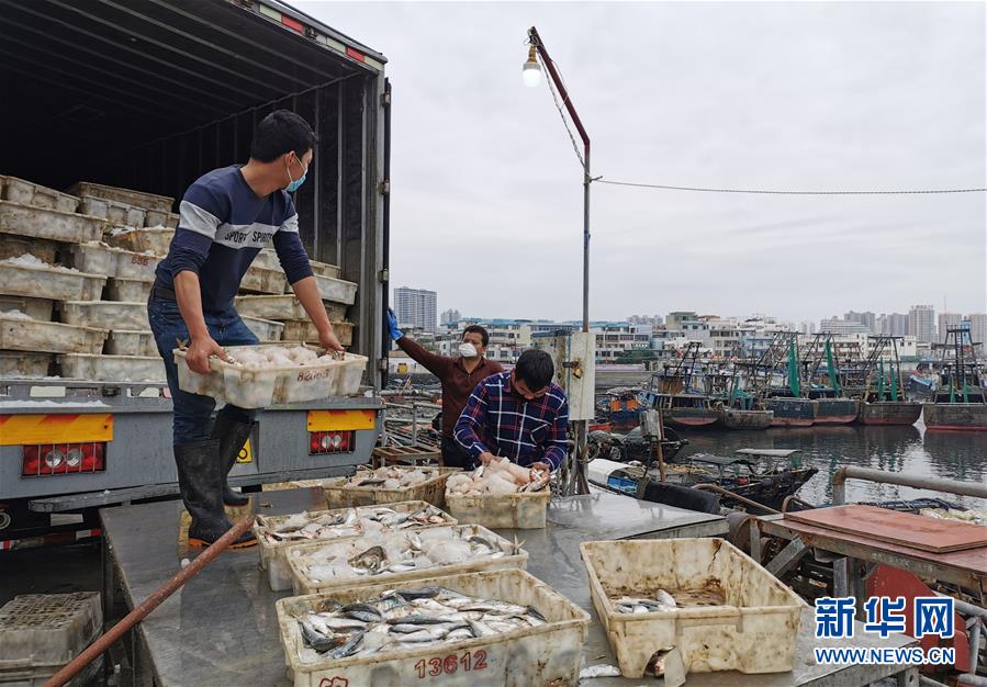 (圖文互動)(5)與疫情抗?fàn)?與春光同行——廣西農(nóng)村春耕備耕一線觀察