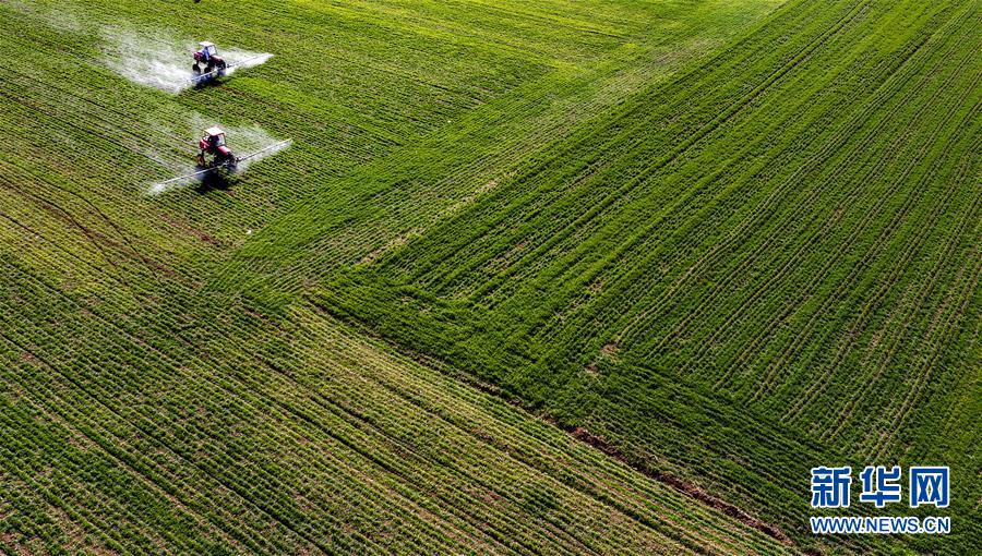 （新華全媒頭條·圖文互動）（13）磨難壓不垮 奮起正當時——習近平總書記在統籌推進新冠肺炎疫情防控和經濟社會發展工作部署會議上的重要講話振奮人心凝聚力量