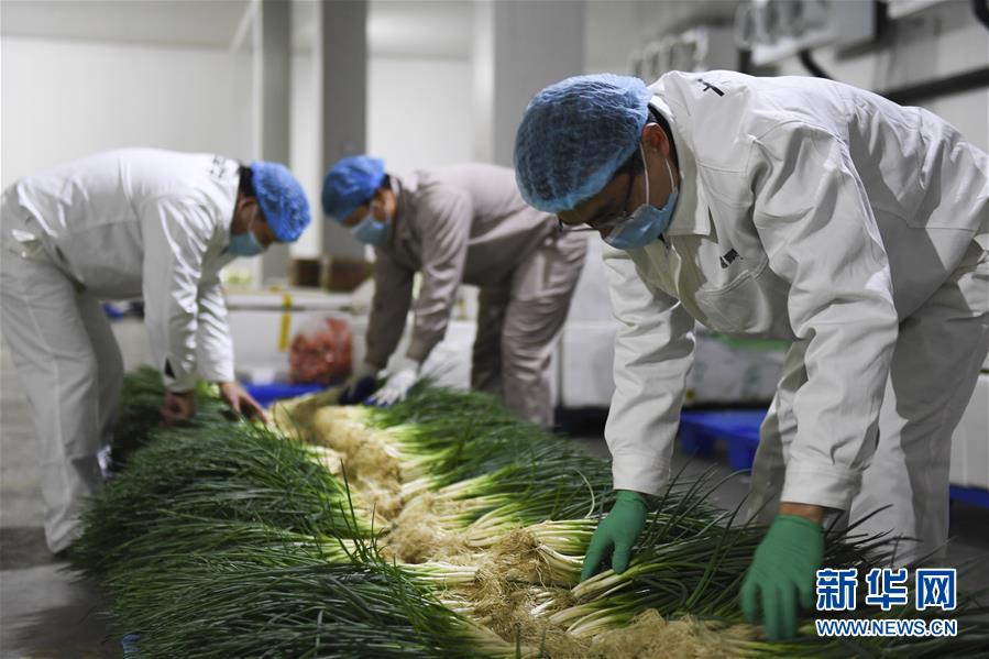 （圖文互動(dòng)）（6）“早一天復(fù)工，損失就少一點(diǎn)”——廣西以精準(zhǔn)防控推動(dòng)復(fù)工復(fù)產(chǎn)一線見聞