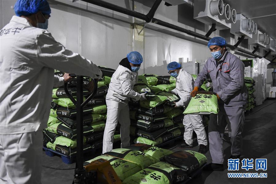 (抓好經濟發(fā)展 應對復雜局面·圖文互動)(1)“一企一策”解難題 大項目按下“加速器”——廣西精準有序推動項目開工復工