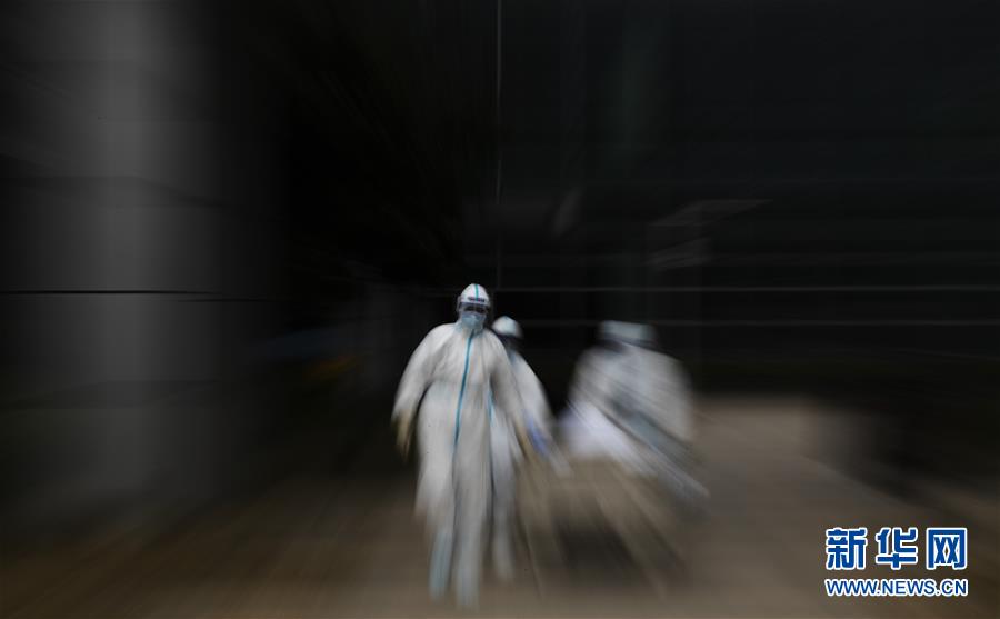 (聚焦疫情防控·圖文互動)(13)這個春天,期待已久