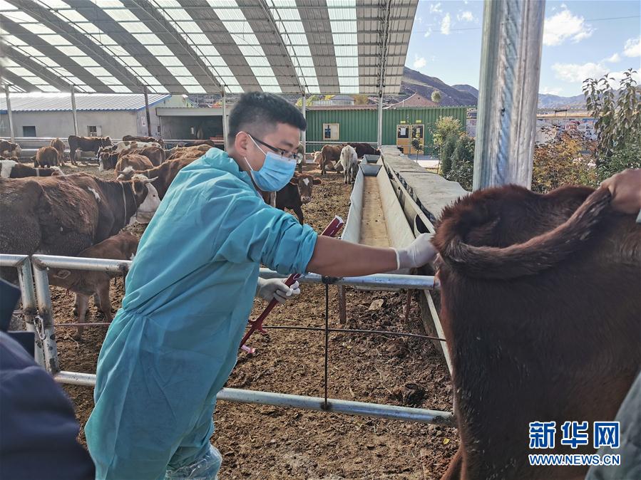 （決戰決勝脫貧攻堅·圖文互動）（2）脫貧“不暫停” 服務“不打烊”——天津通過“云端”幫扶為甘肅受援地區戰貧繼續助力