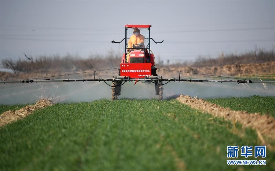 (新華全媒頭條·圖文互動)(9)春色最濃在田間——來自全國春耕備耕的現場觀察